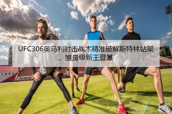 ao-ma-li-zhou-ji-zhan-shu-jing-zhun-po-jie-si-te-lin-zhan-jia-chu-liang-ji-xin-wang-deng-ji-3-451.jpg