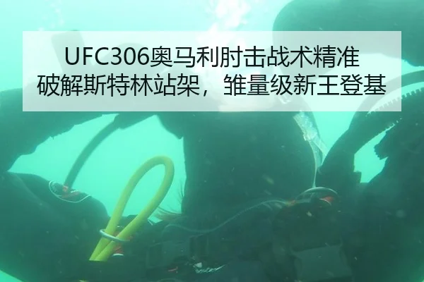 UFC306奥马利肘击战术精准破解斯特林站架，雏量级新王登基