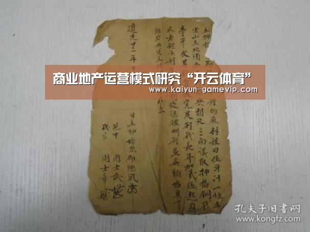 商业地产运营模式研究“开云体育”(图3) 开云体育