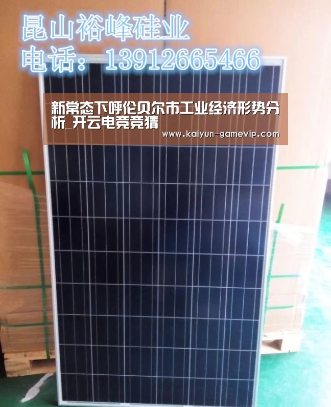 新常态下呼伦贝尔市工业经济形势分析_开云电竞竞猜(图2) 开云电竞竞猜