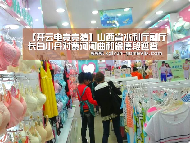 【开云电竞竞猜】山西省水利厅副厅长白小丹对黄河河曲和保德段巡查(图4) 开云体育