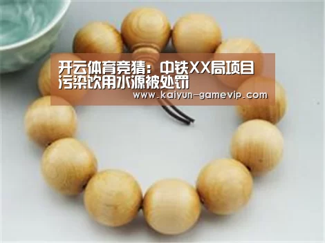 开云体育竞猜:中铁XX局项目污染饮用水源被处罚(图1) 开云体育