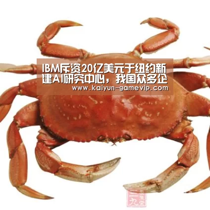 开云综合娱乐平台